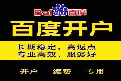 某零售业SEM策略调整，实现销售业绩大增